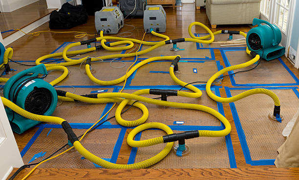 Professional Water Damage Restoration technician working in Wayne, NE